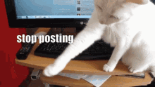 1682689371574.gif