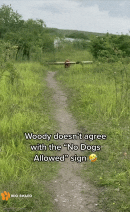 1683024398_8.gif