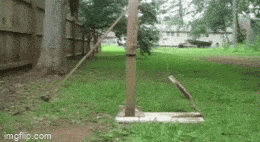 1683116347_8.gif