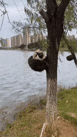 1683291376_12.gif