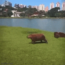 1683291386_6.gif