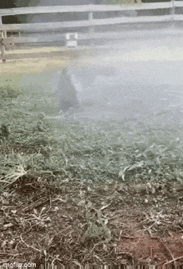 1683291448_21.gif