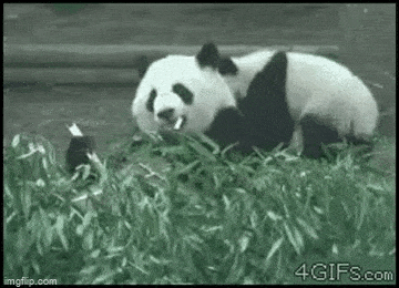 1683544763_5.gif