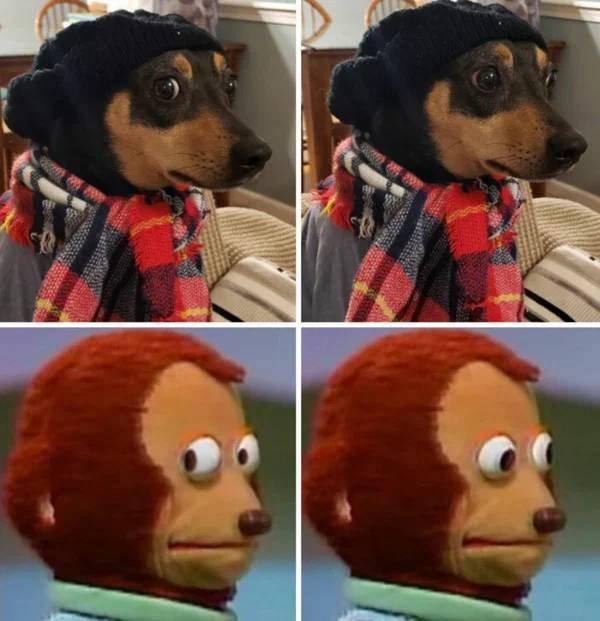 1683632898_ndpeiqzwfk.jpg