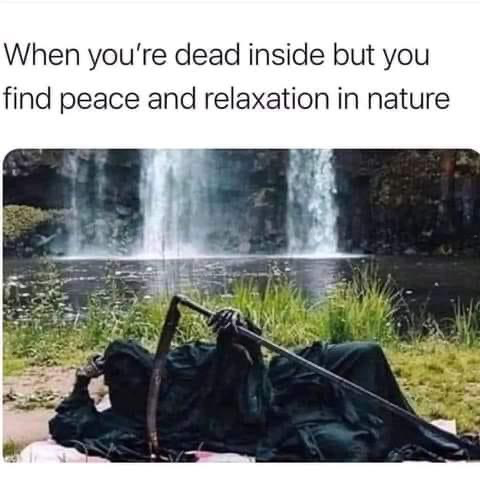 1683644947895.png