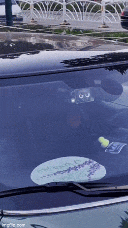 1683650872_20.gif