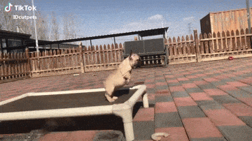 1683730762_5.gif