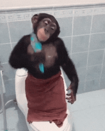 1683810572_10.gif