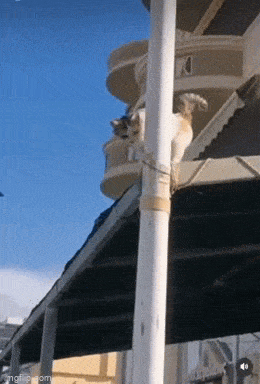 1683984448_12.gif