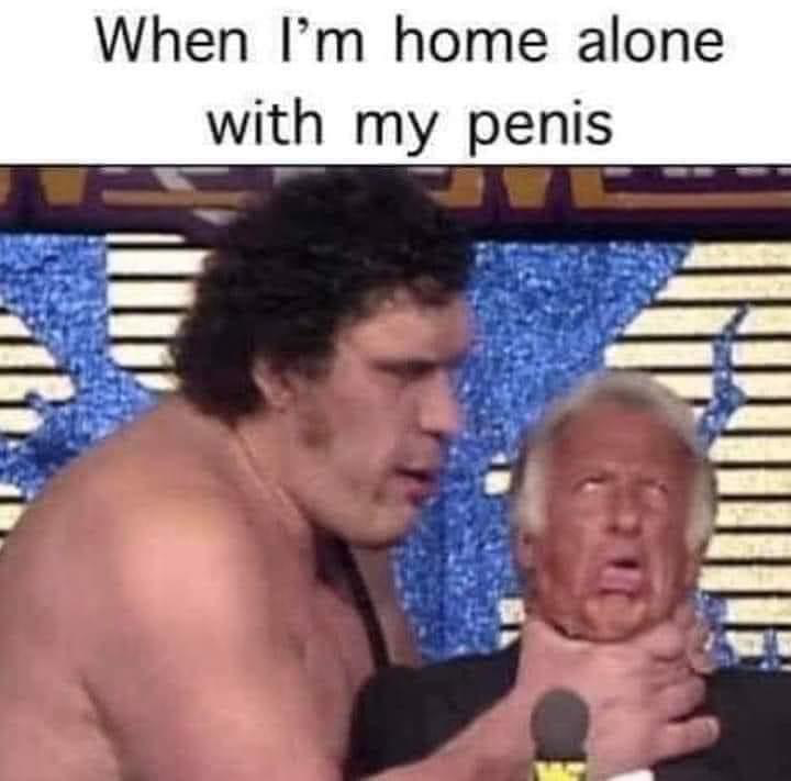 1684224278584.png