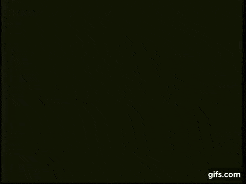 1684260768_7.gif