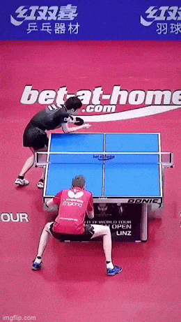 1684260789_23.gif