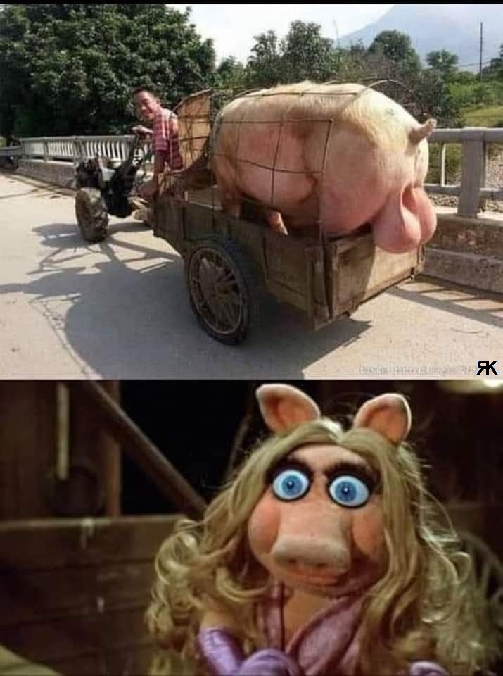 1684431736981.jpeg