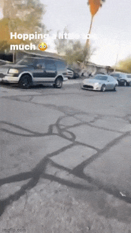 1684434319_16.gif