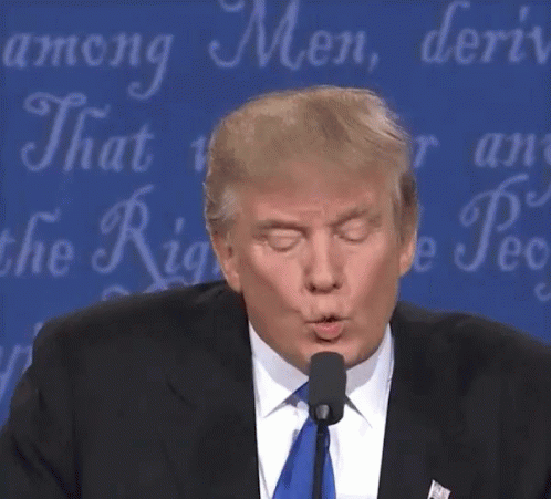 1684550233073.gif
