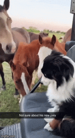 1684779303_18.gif