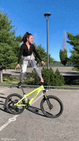 1684779305_00.gif