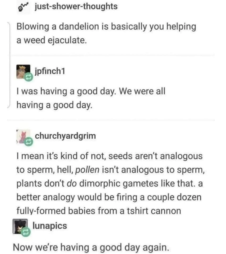 1684864282584.png