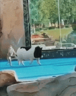 1684866009_24.gif