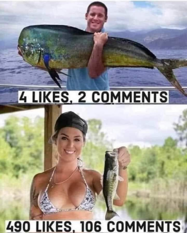 1684880201835.thumb.png.31e5ff80201f4c41a5ec91cb14313bbf.png