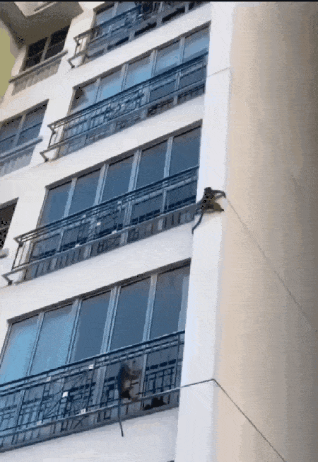 1685007625_4.gif