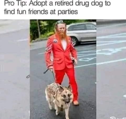 1685127402804.png