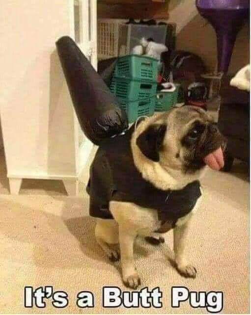 1685375536095.jpeg