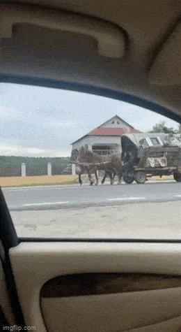1685391517_4.gif