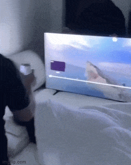1685541491_25.gif
