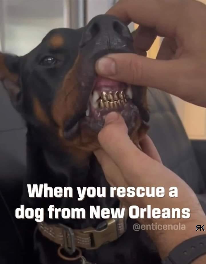 1685568176512.jpeg