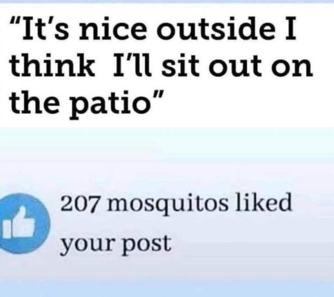 1685570637296.png