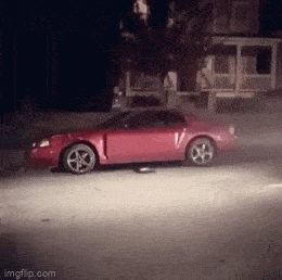 1685651529_7.gif