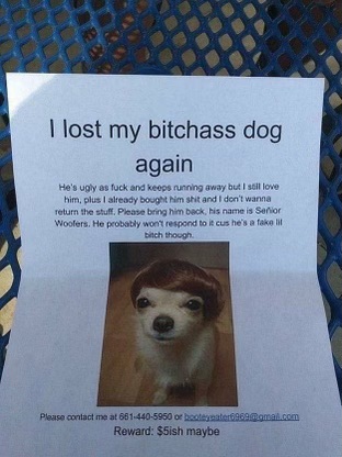 1685750615411.jpeg
