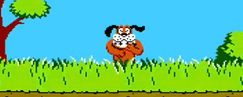 1685810643227.gif