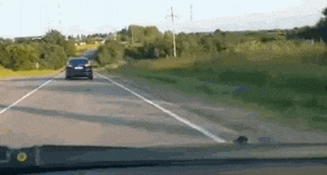 1685912476_9.gif