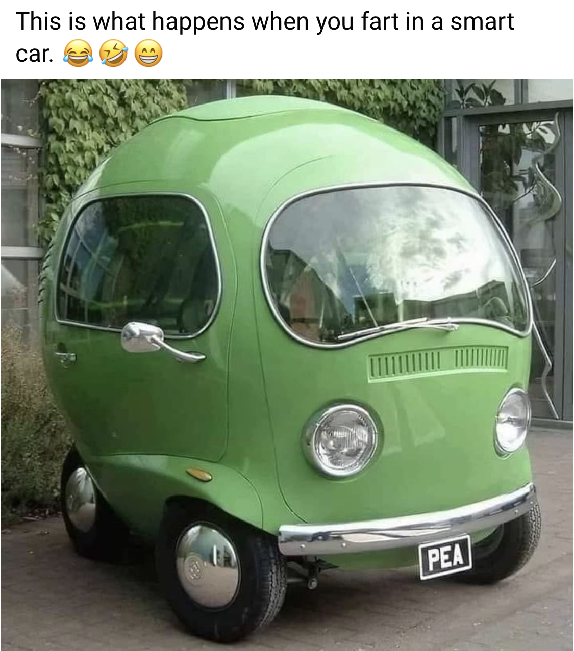 1686059917963.jpeg