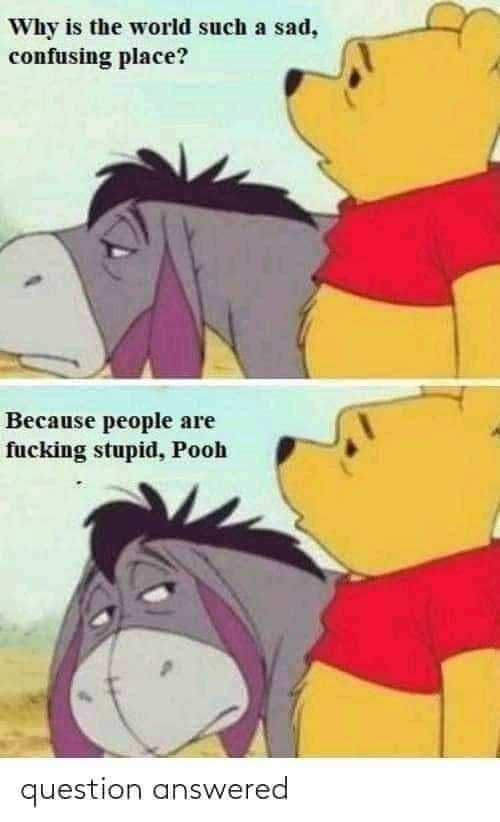 1686100176073.jpeg