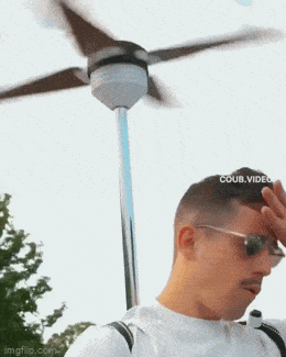 1686296265_5.gif
