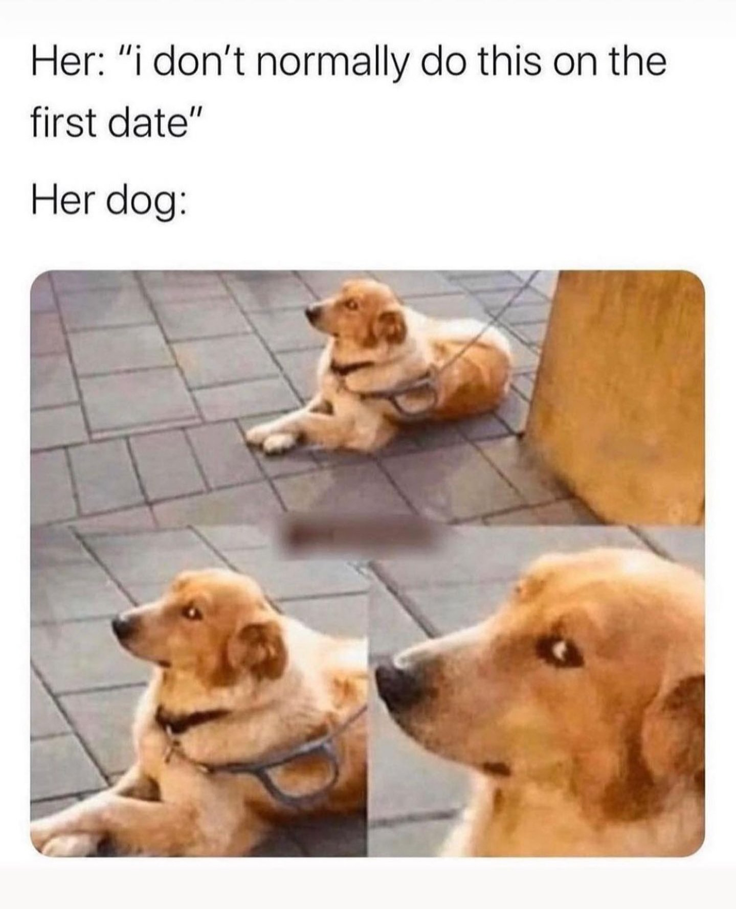 1686375603612.png