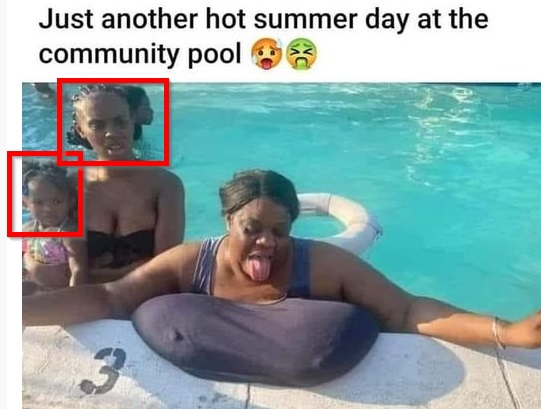 1686580733119.jpeg