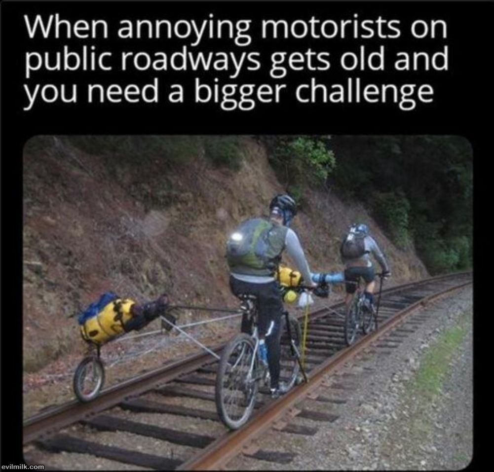 1686655993692.png