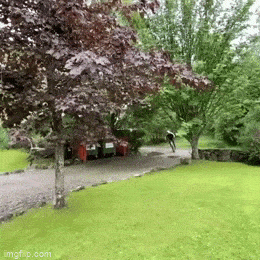 1686738713_1.gif