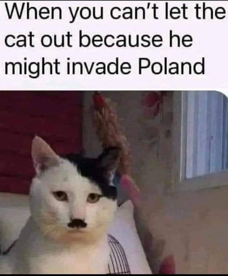 1686806202567.png