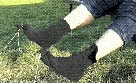 1686905324_2.gif