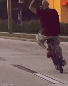 1686905342_23.gif