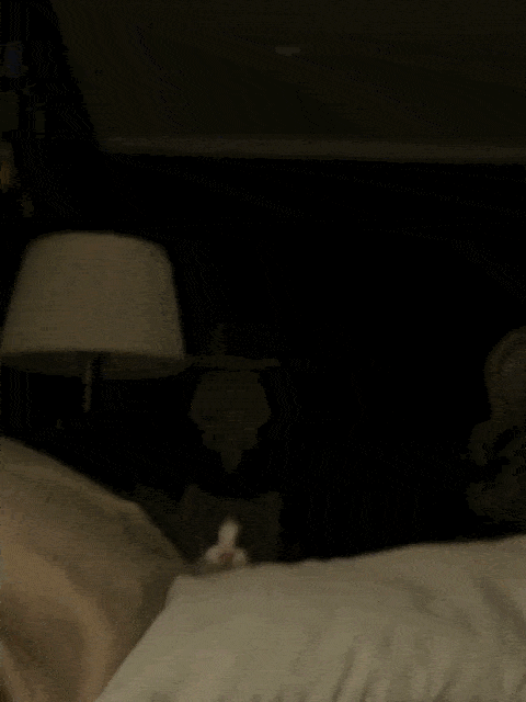 1687187693_13.gif