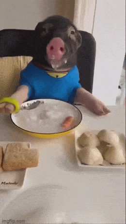 1687269362_12.gif