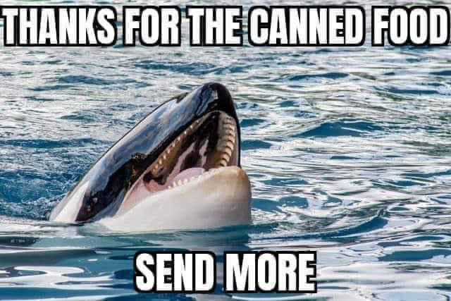1687368612110.png