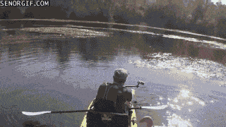 1687534059_14.gif