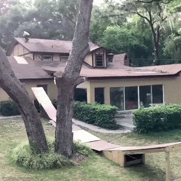 1687885828_8.gif